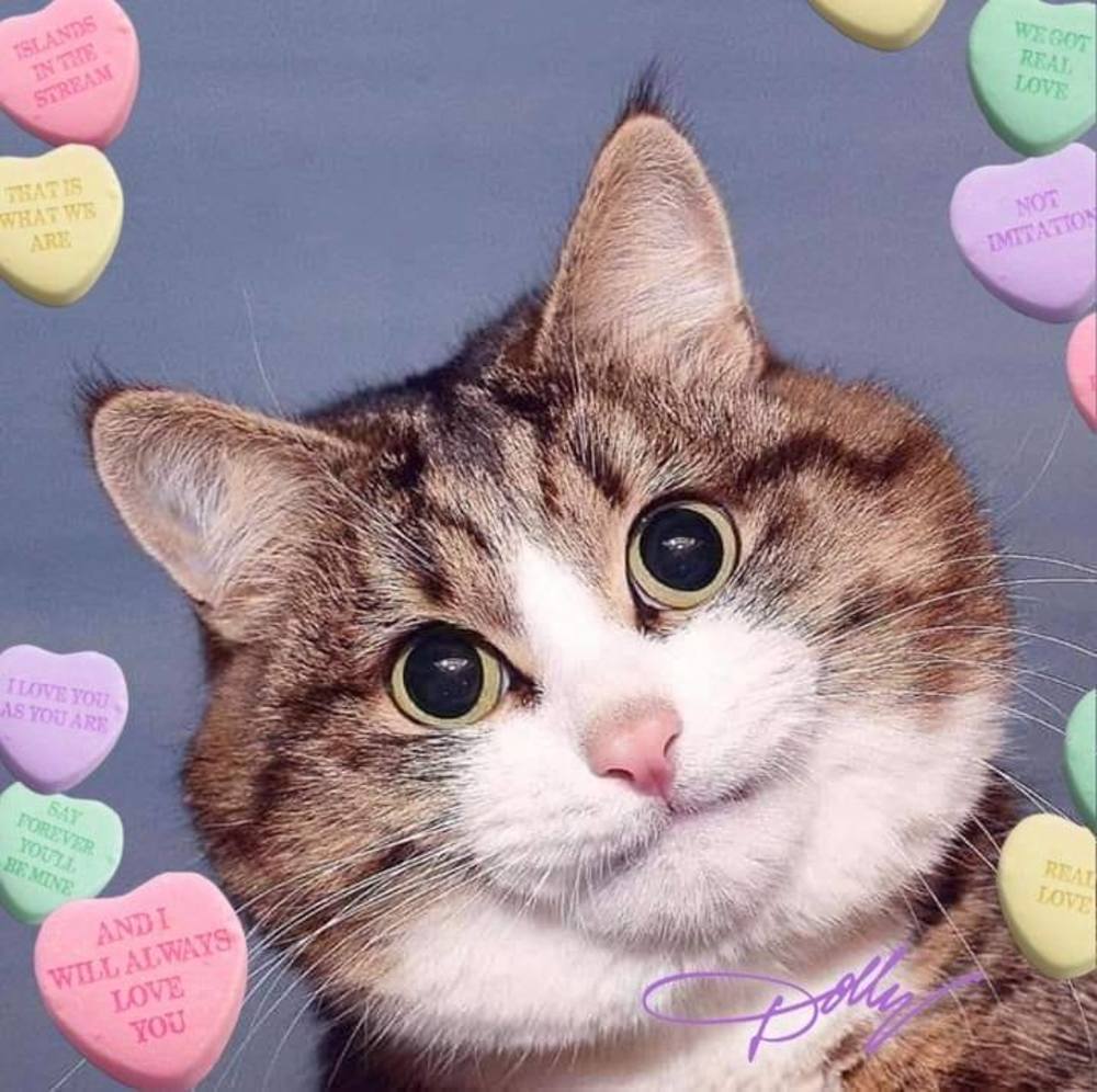 Meet your Posher, Ruth